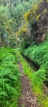 Plants: image 36 Of 208 Thumb